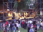petits pois 2006 1410.jpg